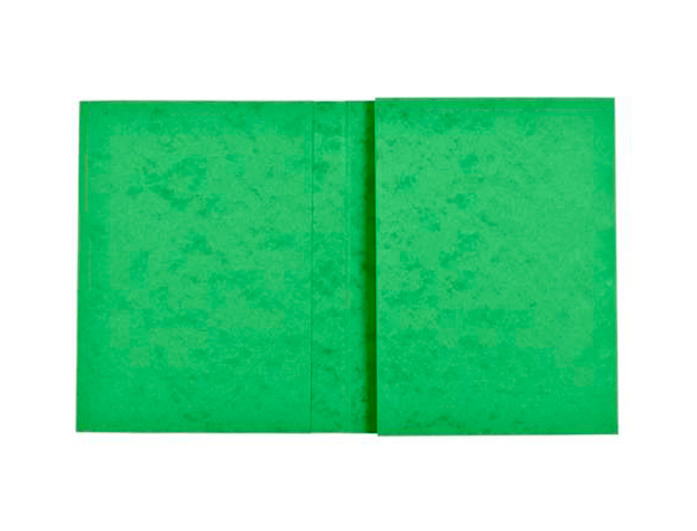 PROTEGE-CAHIER EXACOMPTA CARTE LUSTREE 225GR 17X22CM   COLORIS VERT LOT 10 UNITES